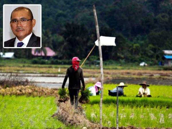 RM4.79 bilion bukti keprihatinan bangunkan sektor agromakanan